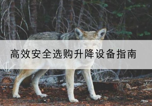 曲水升降货梯厂家推荐-*安全选购升降设备指南