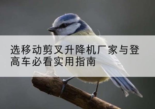 曲水电动升降机厂家-选移动剪叉升降机厂家与登高车必看实用指南