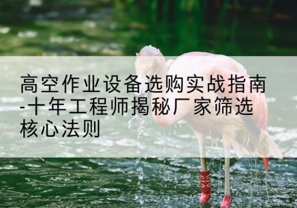 曲水剪叉式升降机厂家-高空作业设备选购实战指南-十年工程师揭秘厂家筛选核心法则